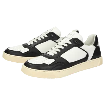 Sioux Schuhe Herren Tedroso-704 Sneaker schwarz 11391 für 94,95 <small>CHF</small> kaufen