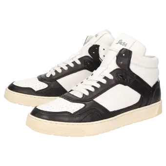 Sioux Schuhe Herren Tedroso-705 Stiefelette schwarz 11432 für 94,95 <small>CHF</small> kaufen