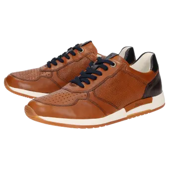 Sioux Schuhe Herren Rojaro-718 Sneaker braun 12240 für 159,95 <small>CHF</small> kaufen