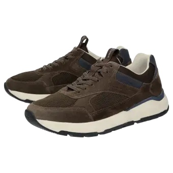 Sioux Schuhe Herren Rogerlino-700-H Sneaker braun 12525 für 109,95 <small>CHF</small> kaufen