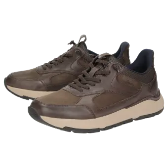 Sioux Schuhe Herren Rogerlino-701-H Sneaker dunkelbraun 13042 für 159,95 <small>CHF</small> kaufen