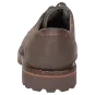 Sioux Schuhe Herren Adalrik-703-TEX-H Schnürschuh dunkelbraun 12462 für 169,95 <small>CHF</small> kaufen