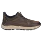 Sioux Schuhe Herren Rogerlino-701-H Sneaker dunkelbraun 13042 für 159,95 <small>CHF</small> kaufen