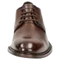 Sioux Schuhe Herren Malronus-700 Schnürschuh braun 10481 für 144,95 <small>CHF</small> kaufen