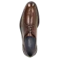 Sioux Schuhe Herren Malronus-700 Schnürschuh braun 10481 für 144,95 <small>CHF</small> kaufen