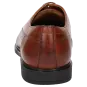Sioux Schuhe Herren Lopondor-701 Schnürschuh cognac 12102 für 94,95 <small>CHF</small> kaufen