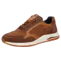 Sioux shoes men Turibio-711-J Sneaker brown 10805 for 159,95 <small>CHF</small> 